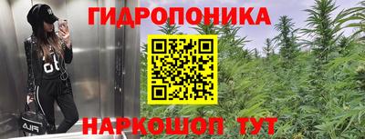 гашик Апрелевка