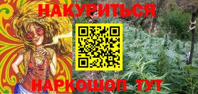 шишки Аргун
